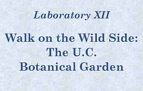 [Laboratory XII - Walk on the Wild Side: The U.C. Botanical Garden]