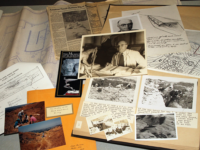 An assortment of items from the UCMP archives that all relate to the Black Hawk Ranch Quarry
