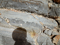 This lobate layer boundary was the result of the dissolution of the carbonates in the lower layer prior to deposition of the upper