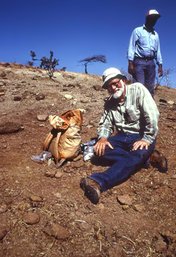 Bill Clemens looking for fossils in Montana's Hell Creek Formation