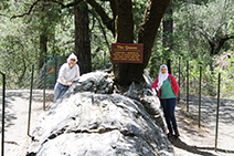 Diane Ewrin and Mawra W. Ibraheem at the Calistoga Petrified Forest