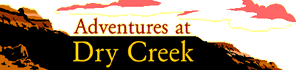 Adventures at Dry Creek banner