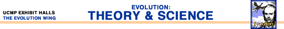 Evolution: Theory & Science banner
