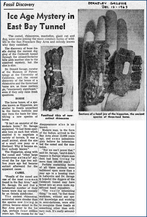 Newspaper article on bones found in the Caldecott, 1963
