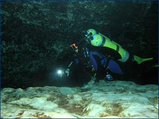 Joey in the Ginnie Springs cave system, Florida