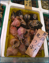 A variety of whelk for sale at a fish market in Sendai
