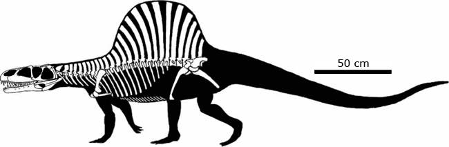 Reconstruction of Arizonasaurus