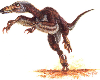 Velociraptor by Michael Skrepnick