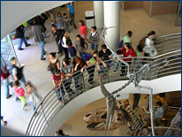 T. rex and Pteranodon in the Wallace Atrium