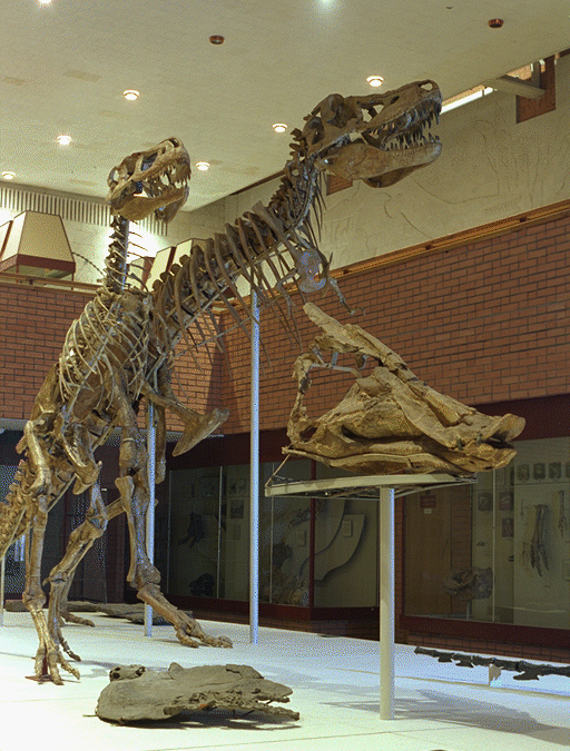 largecarnosaurs.gif