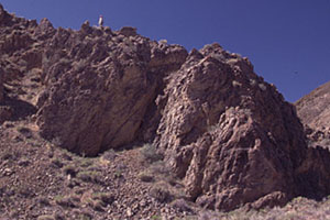 Dunlap Canyon coral reef, Nevada