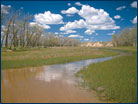 A riparian wetland in eastern Colorado