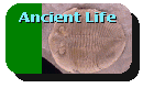 Vendian ancient life