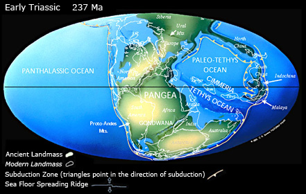 Continental distribution in the Triassic